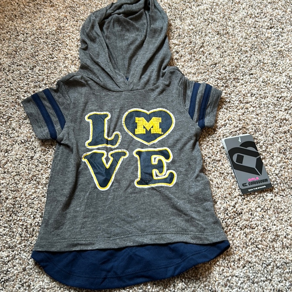 Toddler girl, Michigan hooded t-shirt